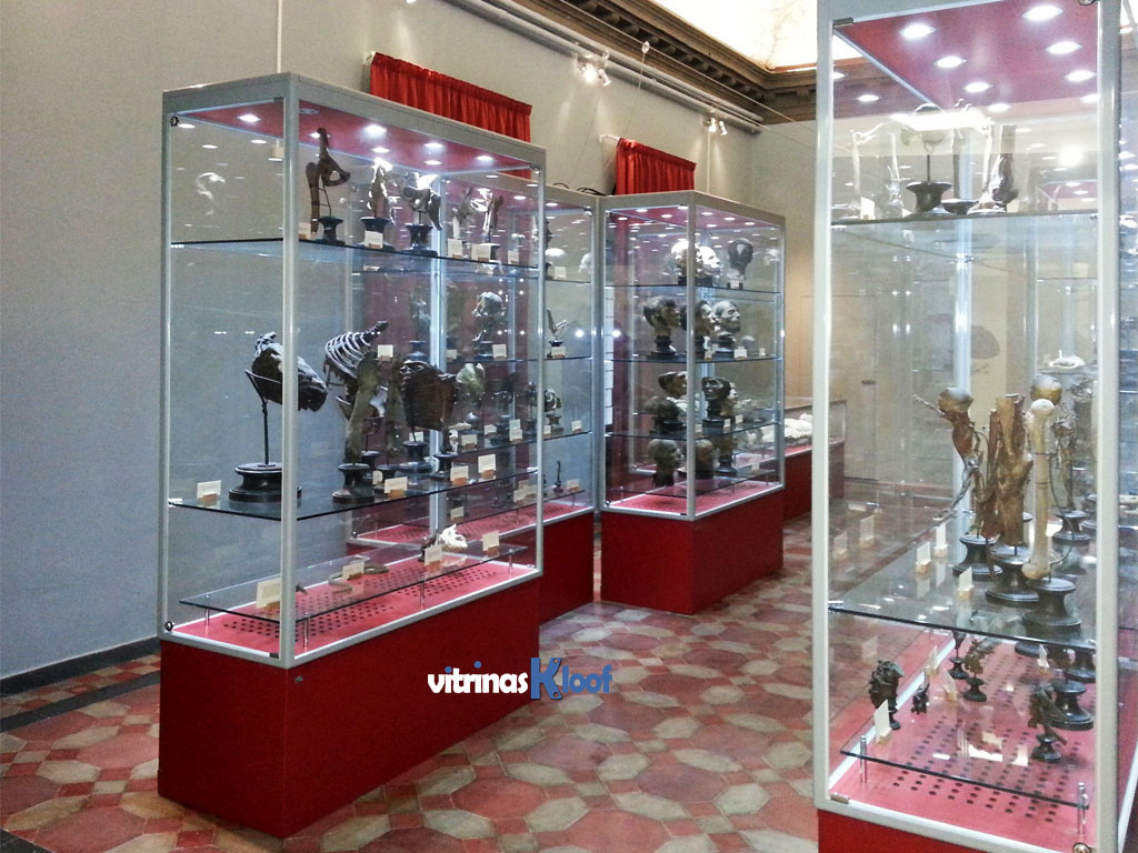 Vitrina Museo Imagen TM 12